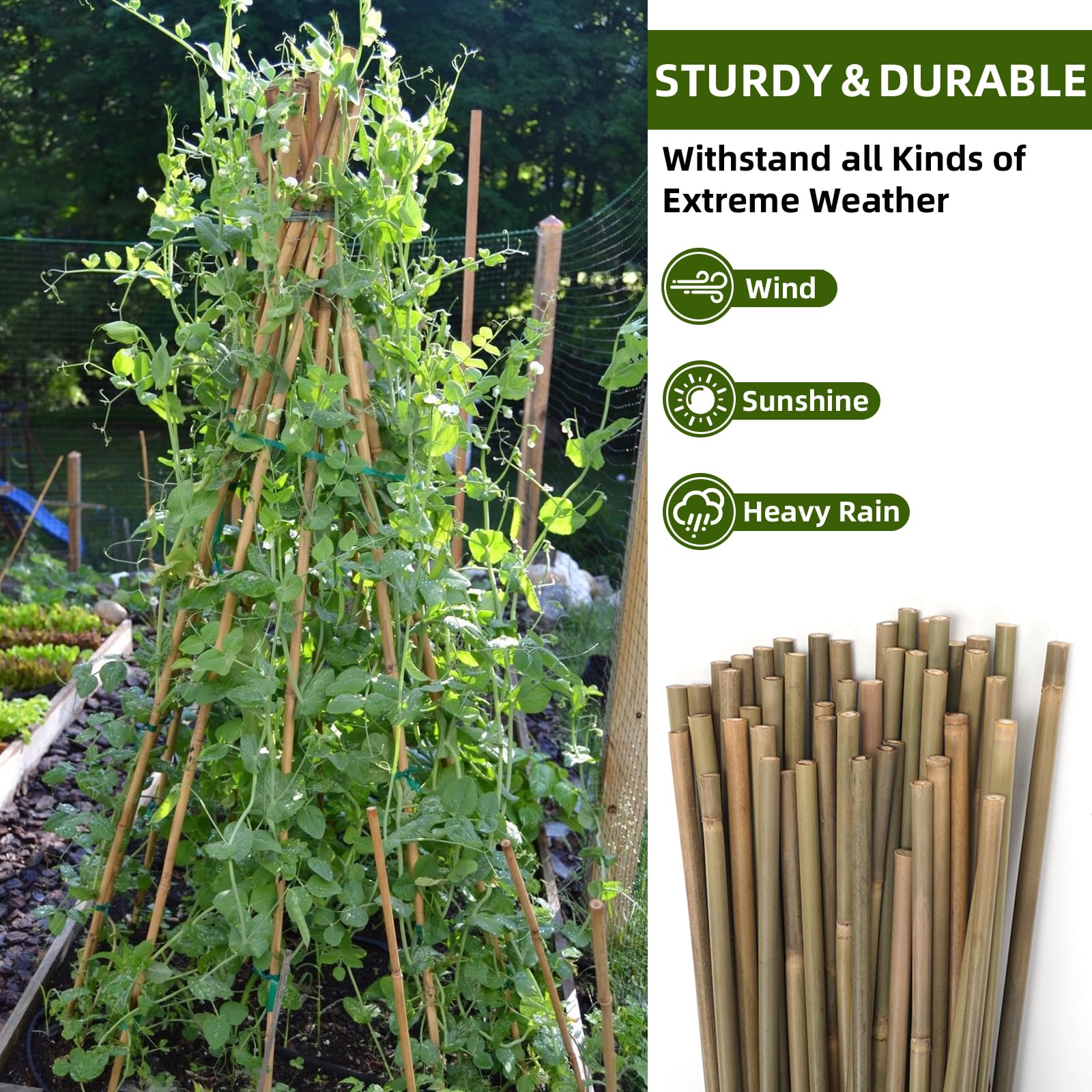 Bamboo Stakes 4ft 65pack indoor outdoor use in any garden.