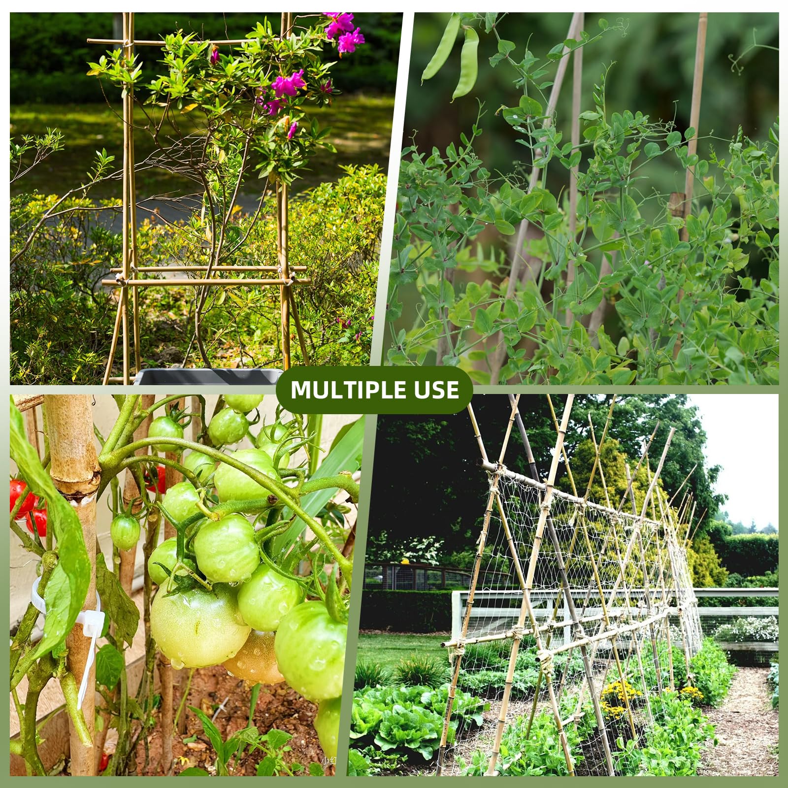 Bamboo Stakes 4ft 65pack potted plant support for neat growth.