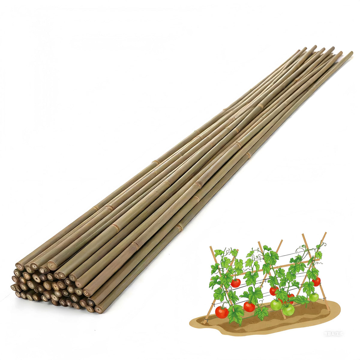 Bamboo Stakes 4ft 65pack tomato support for sturdy plant growth.