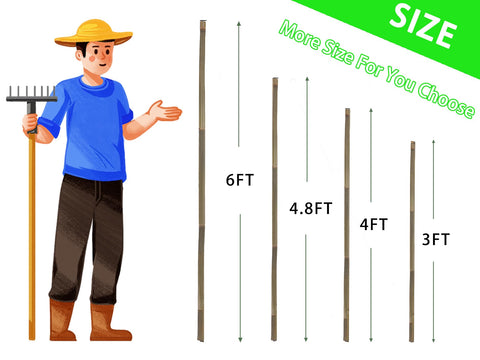 Bamboo Stakes 4ft 65pack vegetable and flower stakes for garden support.