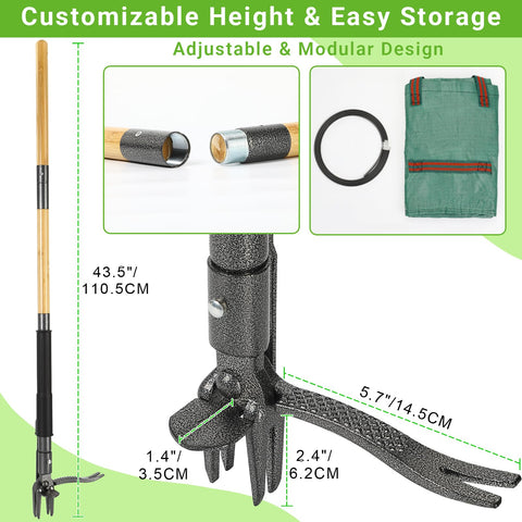 Bamda dual-action mechanism enables easy weed extraction with minimal soil disturbance.
