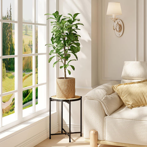 Bamworld boho rattan plant stand with woven texture adds chic greenery decor.