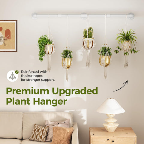 Bamworld ceiling-mount option adds versatile, space-saving placement