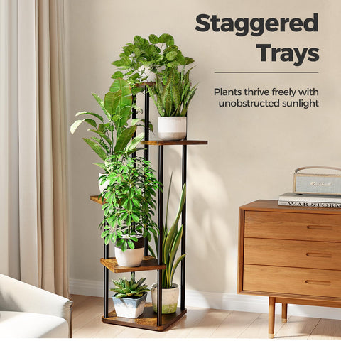 Bamworld corner plant shelf displays succulents and photos in a cozy space.