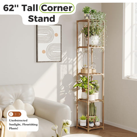 Bamworld 5-tier display focuses on organized plant arrangement in a living space.