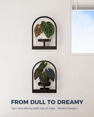 Bamworld customizable plant display lets you switch plants with seasons.