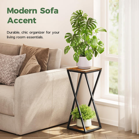 Bamworld decorative indoor plant display for living rooms and hallways.
