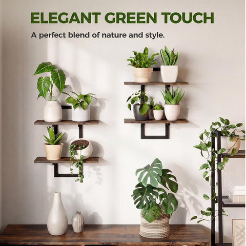 bamworld shelves decorate living room with greenery and warmth.