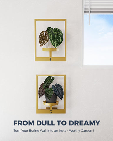 Bamworld Gold plant shelf wall-decor blends modern style with lush plant life.
