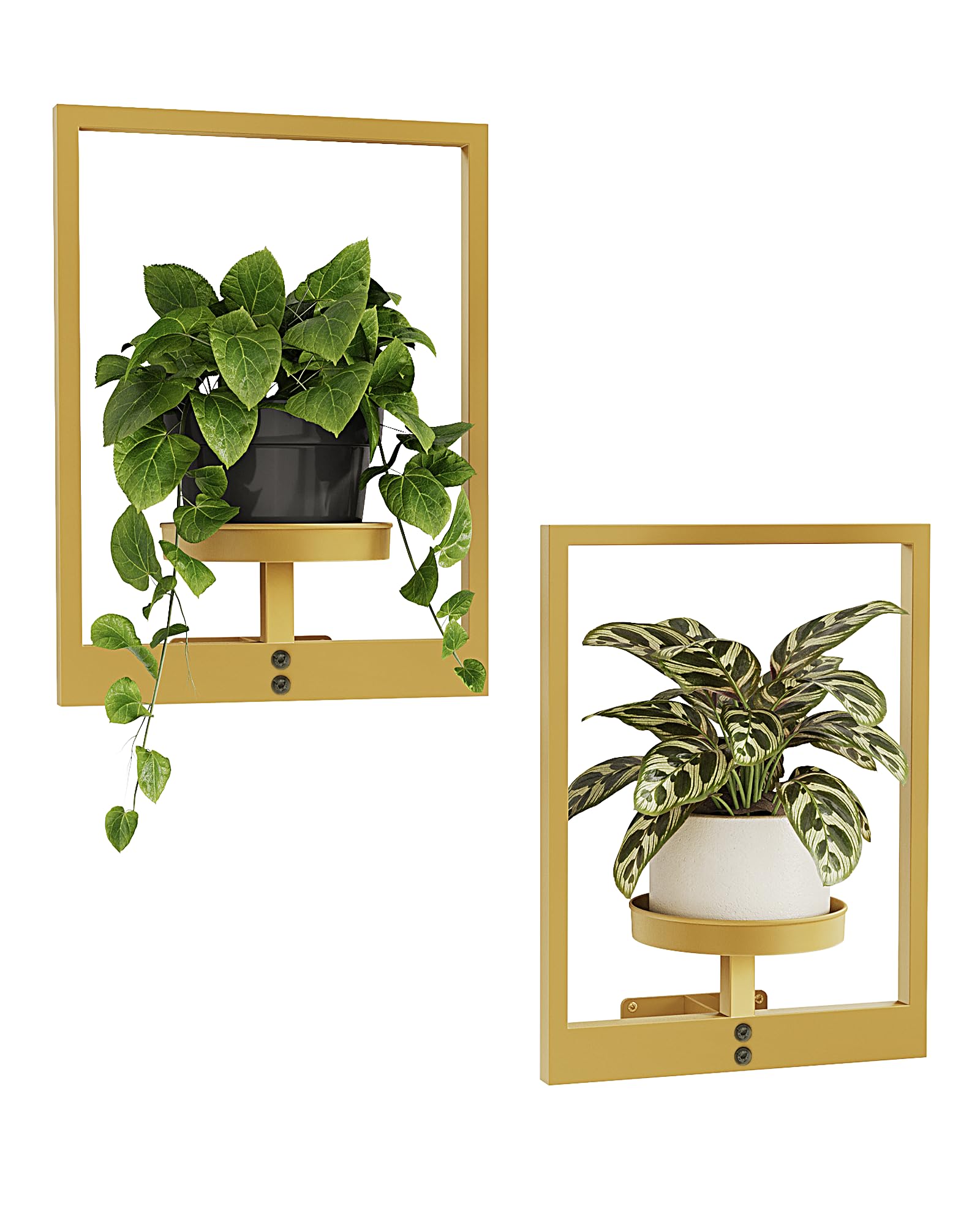 Bamworld Gold plant stand with picture-frame design elevates wall decor and greenery.