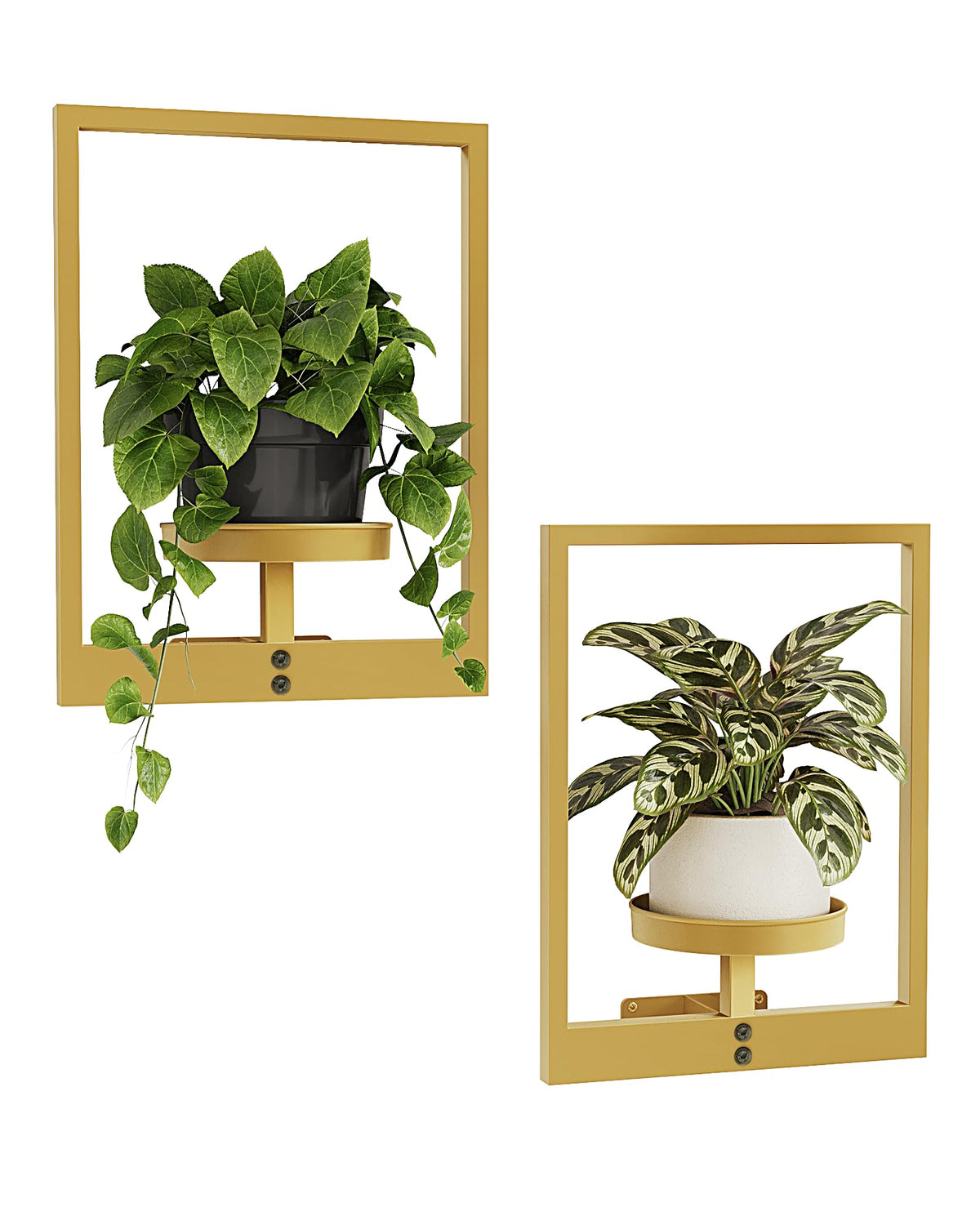 Bamworld Gold plant stand with picture-frame design elevates wall decor and greenery.