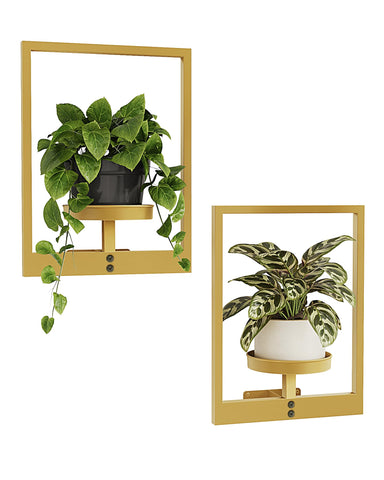 Bamworld Gold plant stand with picture-frame design elevates wall decor and greenery.