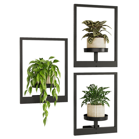 Bamworld hanging planters with picture-frame design brighten walls with lush greenery.