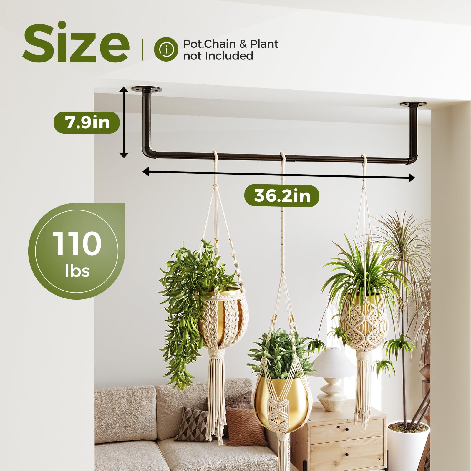 Bamworld display enhances indoor plant arrangement with stylish metal rod