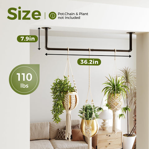 Bamworld display enhances indoor plant arrangement with stylish metal rod