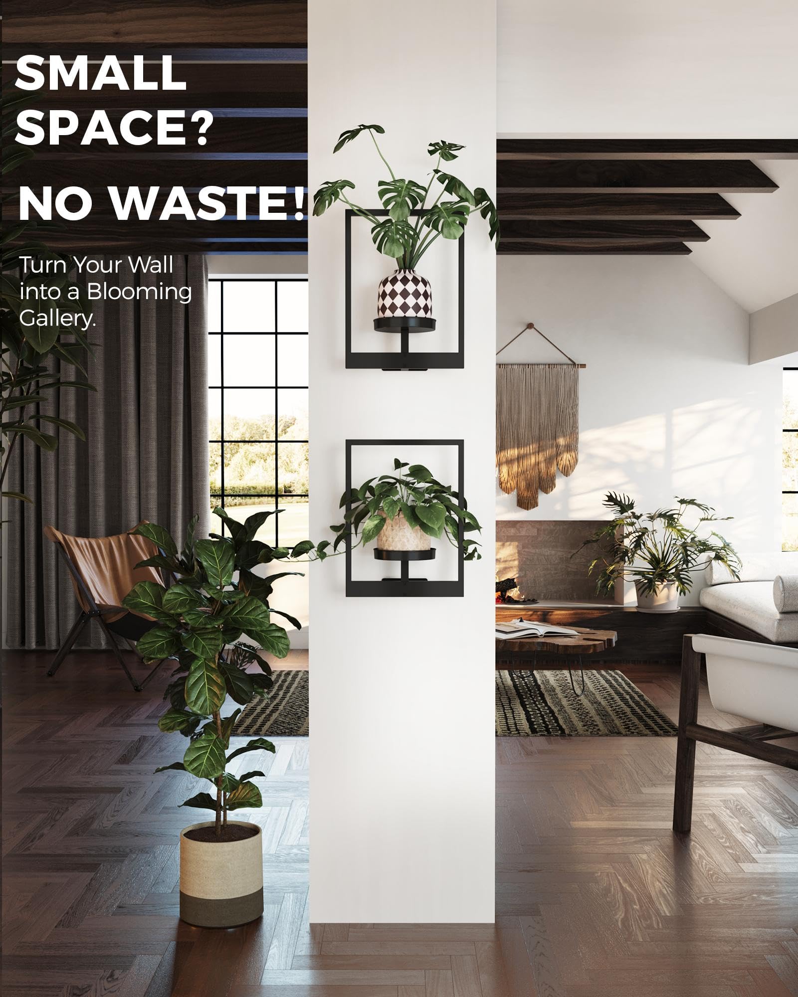 Bamworld indoor plant display on wall shelf showcases vibrant leaves and seasonal color.