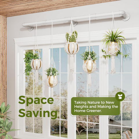 Bamworld indoor plants flourish with this hanger in living spaces