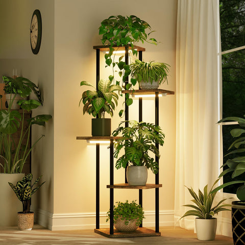Bamworld indoor plant setup enabling organized lush displays
