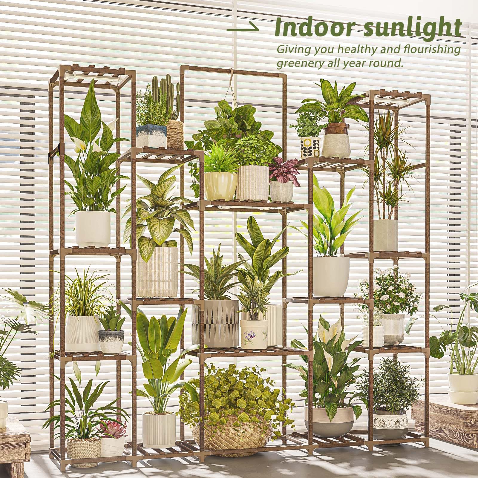 Bamworld large indoor plant display ideal for living rooms and patios