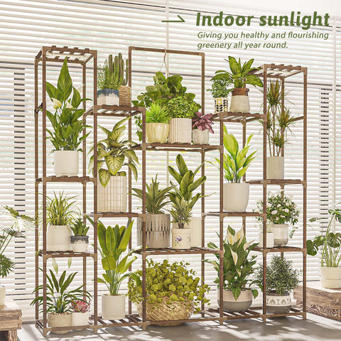 Bamworld large indoor plant display ideal for living rooms and patios