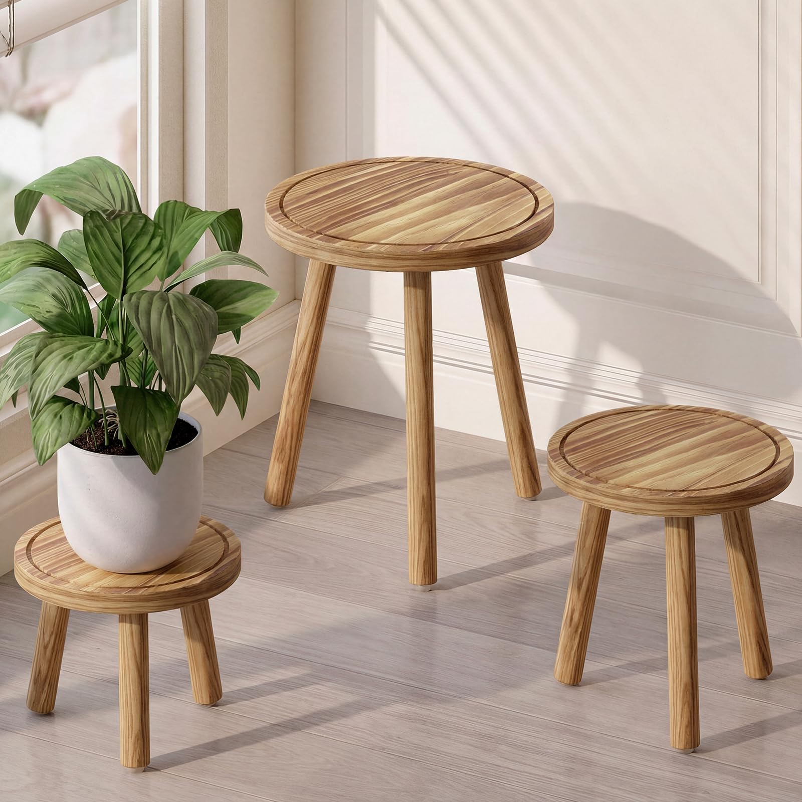 Bamworld living room decor with multiple plants on a compact display