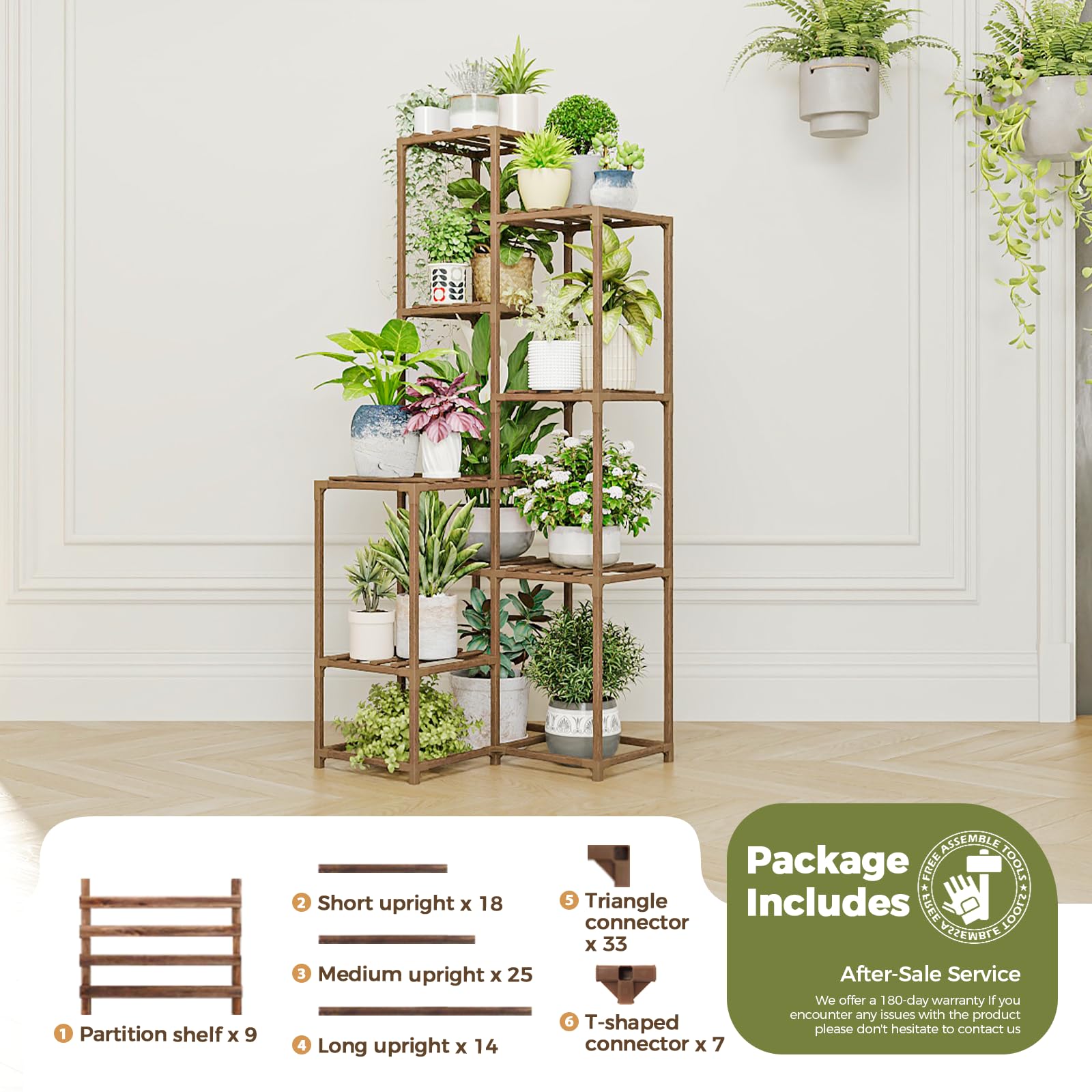 Bamworld living room plant display creates a green focal point