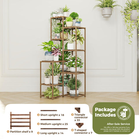 Bamworld living room plant display creates a green focal point