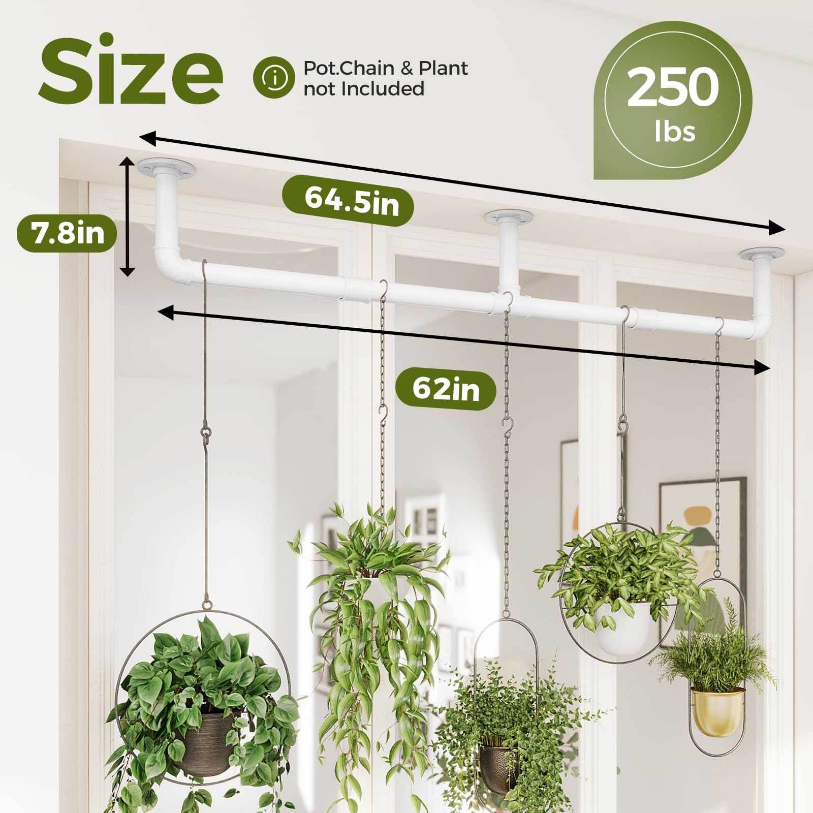 Bamworld metal rod-assembly supports sturdy indoor plant displays