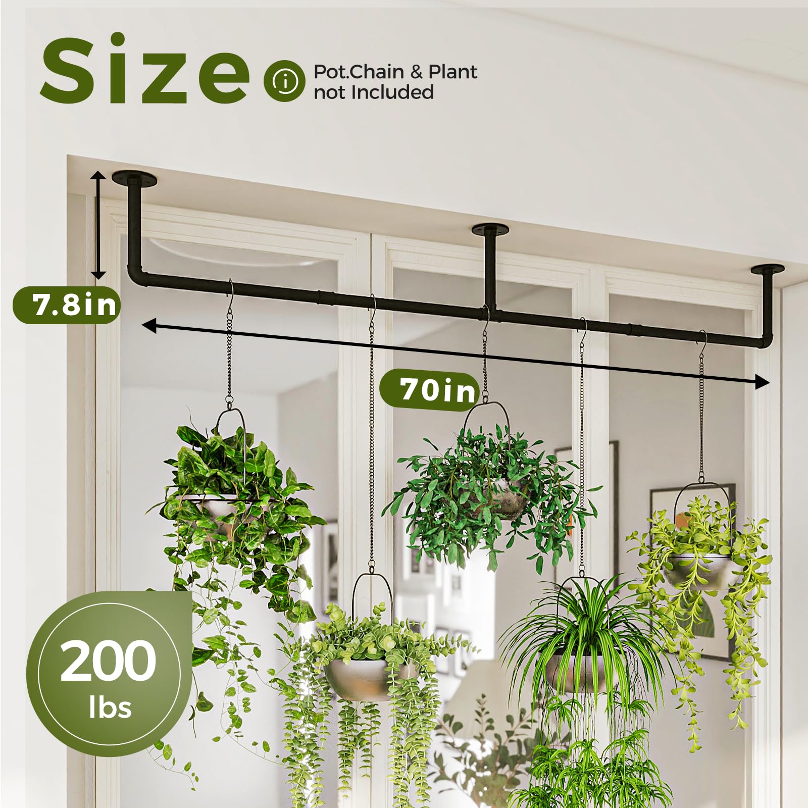 Bamworld plant hanger wall or ceiling mount suited for versatile spaces.