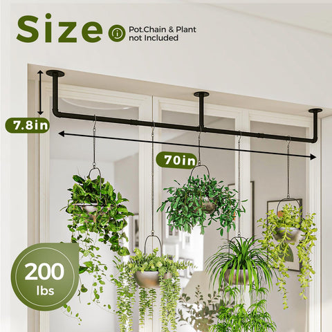 Bamworld plant hanger wall or ceiling mount suited for versatile spaces.