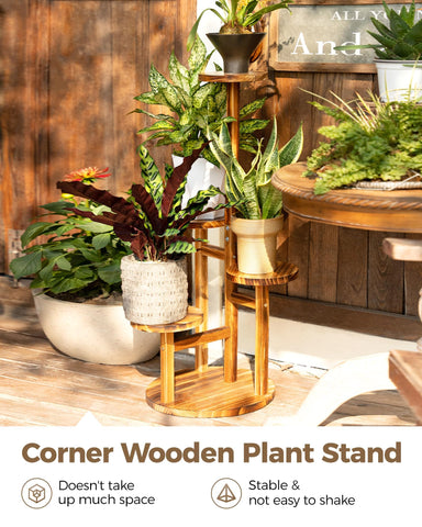 Bamworld corner display demonstrates tall plant arrangement in a tight space.