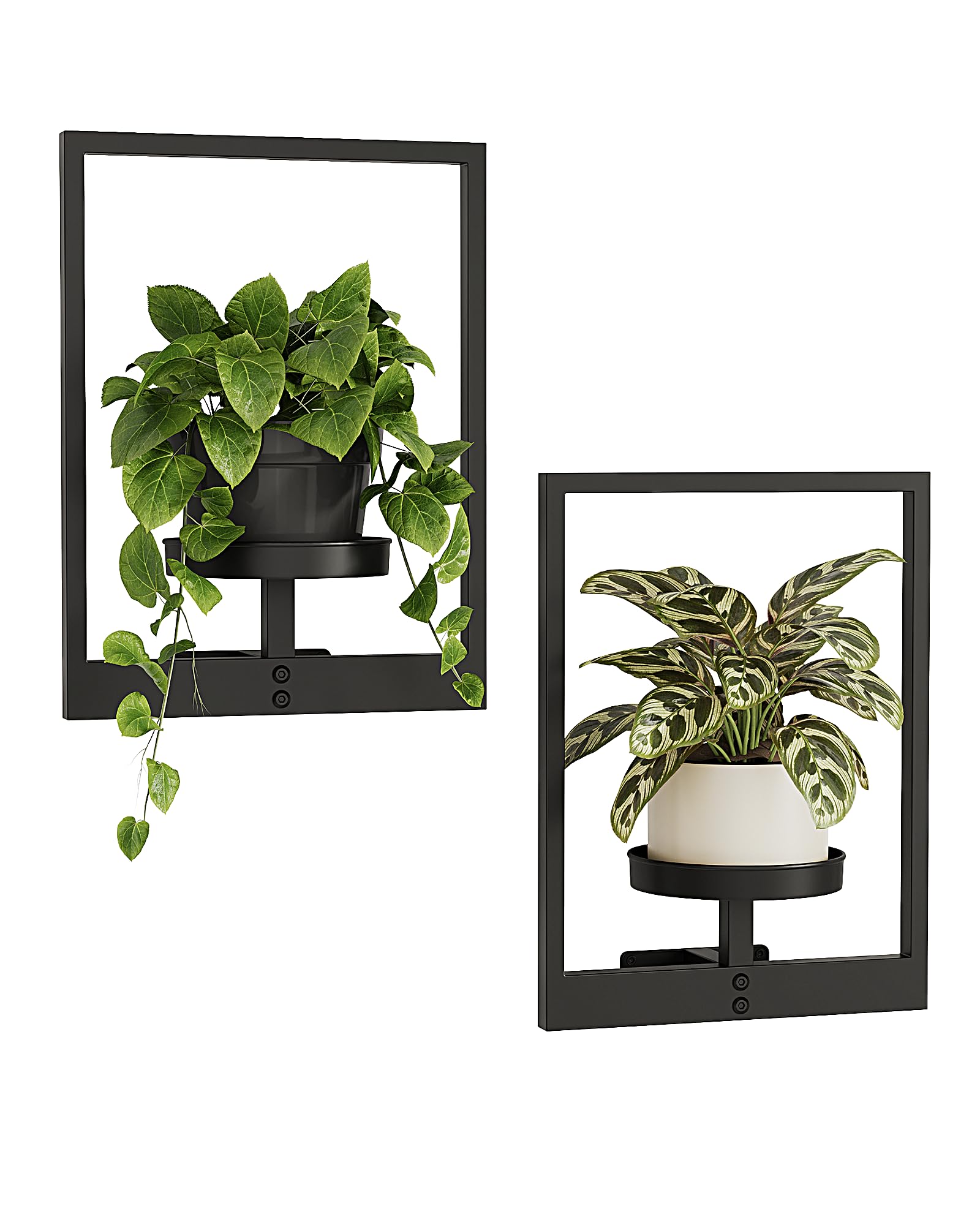 Bamworld plant stand indoor-wall decor displays compact greenery in a modern setting.