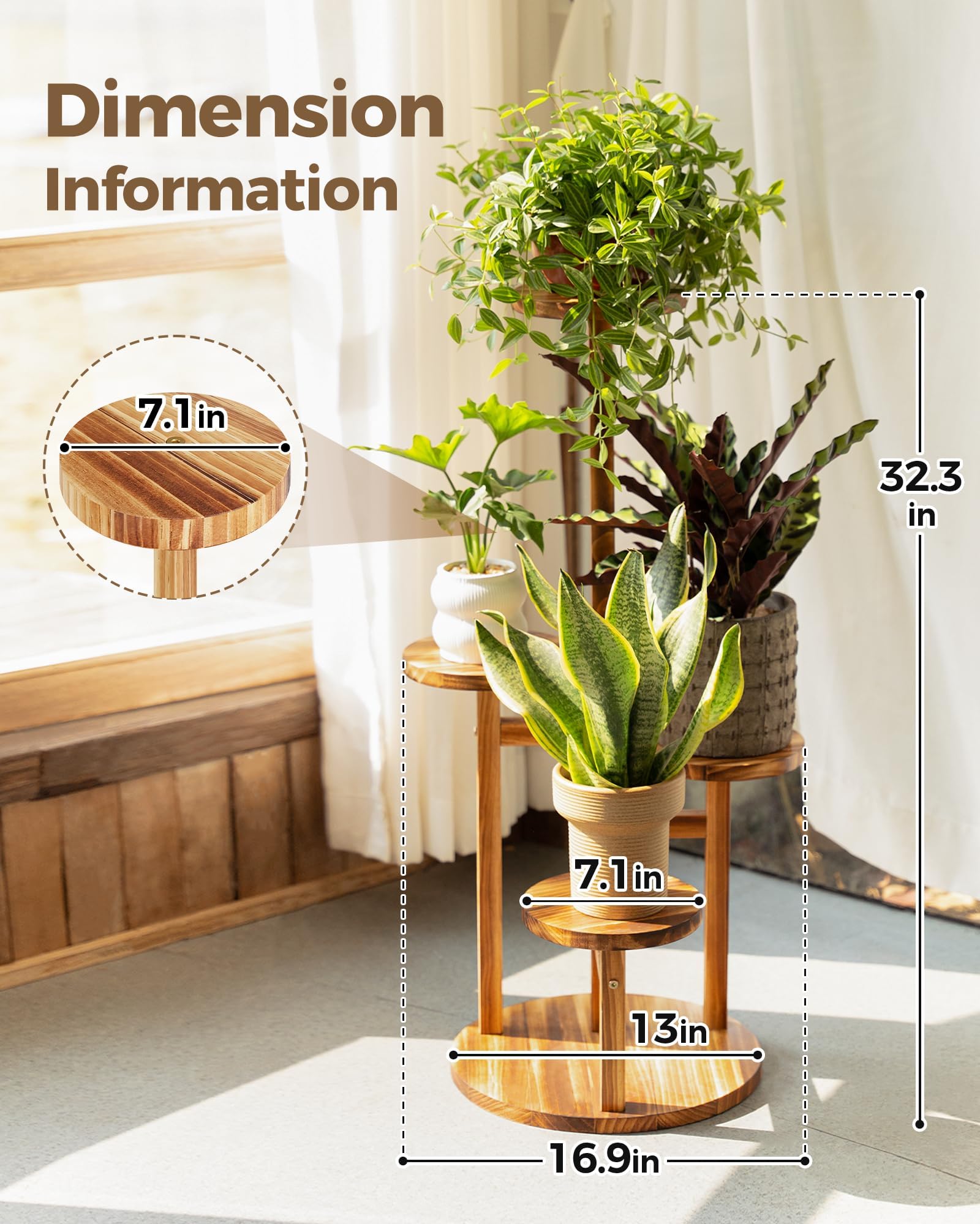 Bamworld living room setup shows compact space-saving design.