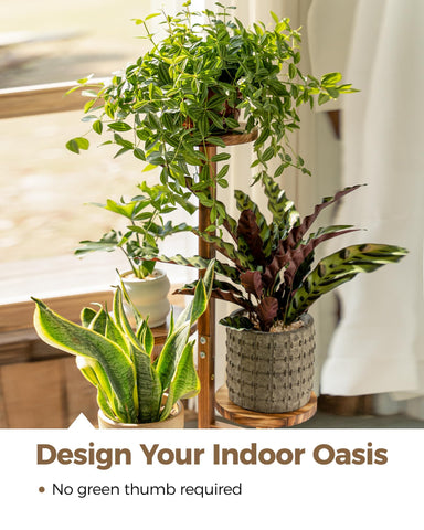 Bamworld plant stand outdoors-ready with waterproof finish.