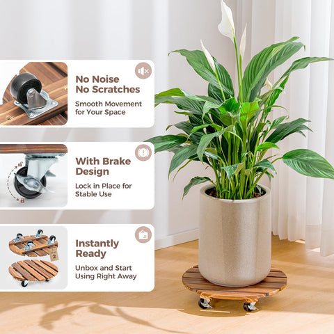 Bamworld plant stand wheels heavy load capacity visual indicating 150 lbs
