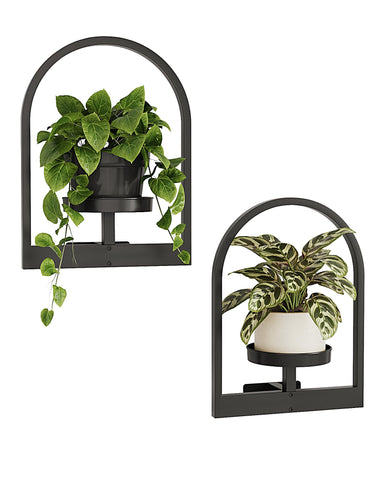 Bamworld round wall plant shelf displaying compact, stylish greenery on a wall.