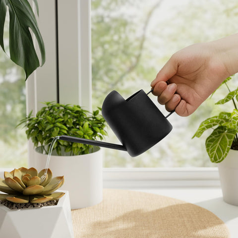 Bamworld small watering can on desk, ideal for desk plant care.