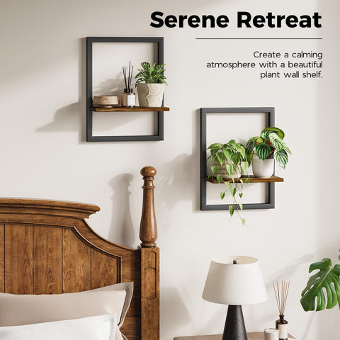 Bamworld stylish wall planter in black frame with rustic board for versatile styling