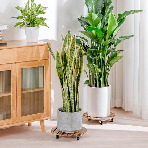 Two-pack set ideal for patios, balconies, or sunrooms.