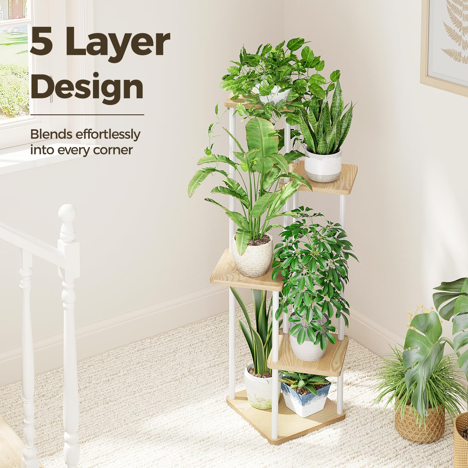 Bamworld Versatile Plant Stand for succulents, photos, and souvenirs.