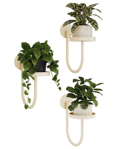 Bamworld wall planter space-saving design for indoor greenery