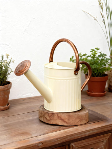Bamworld watering can with detachable spout for precise indoor watering.