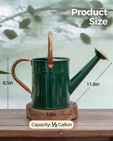 Bamworld dual-handle design provides comfortable, stable grip.