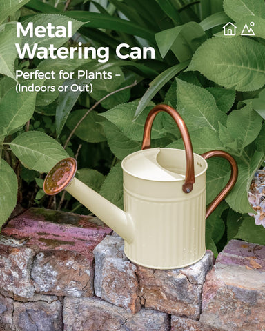 Bamworld stainless steel watering can for durable outdoor use.