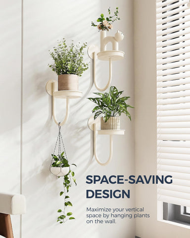 Bamworld window-mounted planter lets natural light boost plant growth