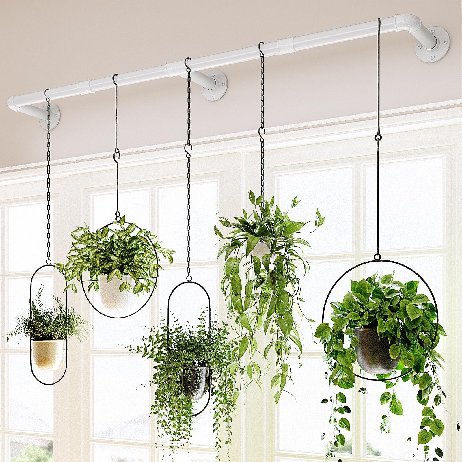 Bamworld Window Plant Hanger 63in display for sunny window sills