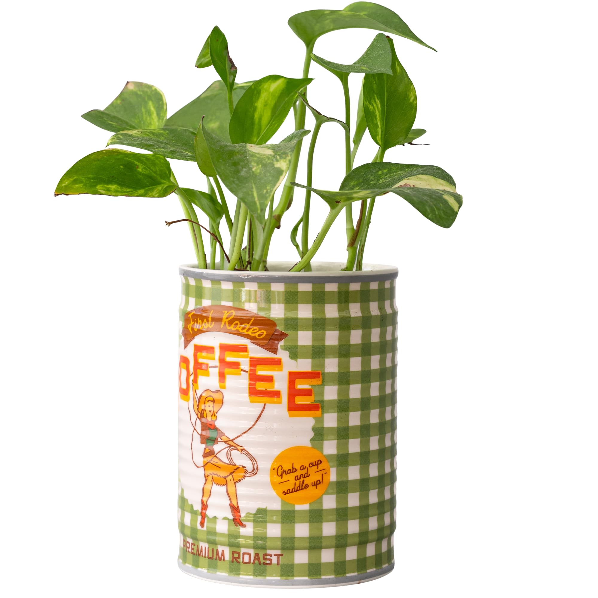 Ban-do coffee can planter doubles as a desk organizer for small items.