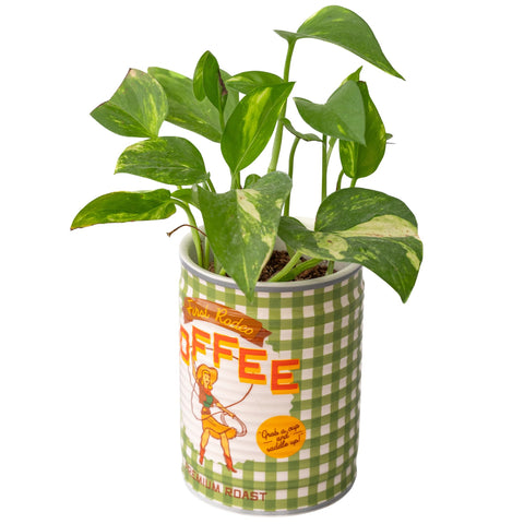Ban-do ceramic planter on shelf used as kitchen decor accessory.