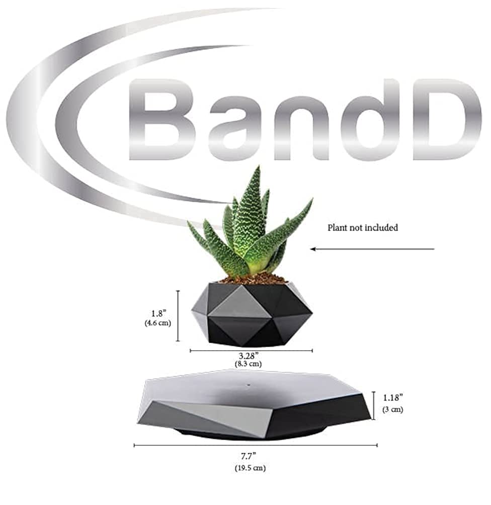 BandDlevs floating pot air plant shows gravity-defying elegance in living spaces.