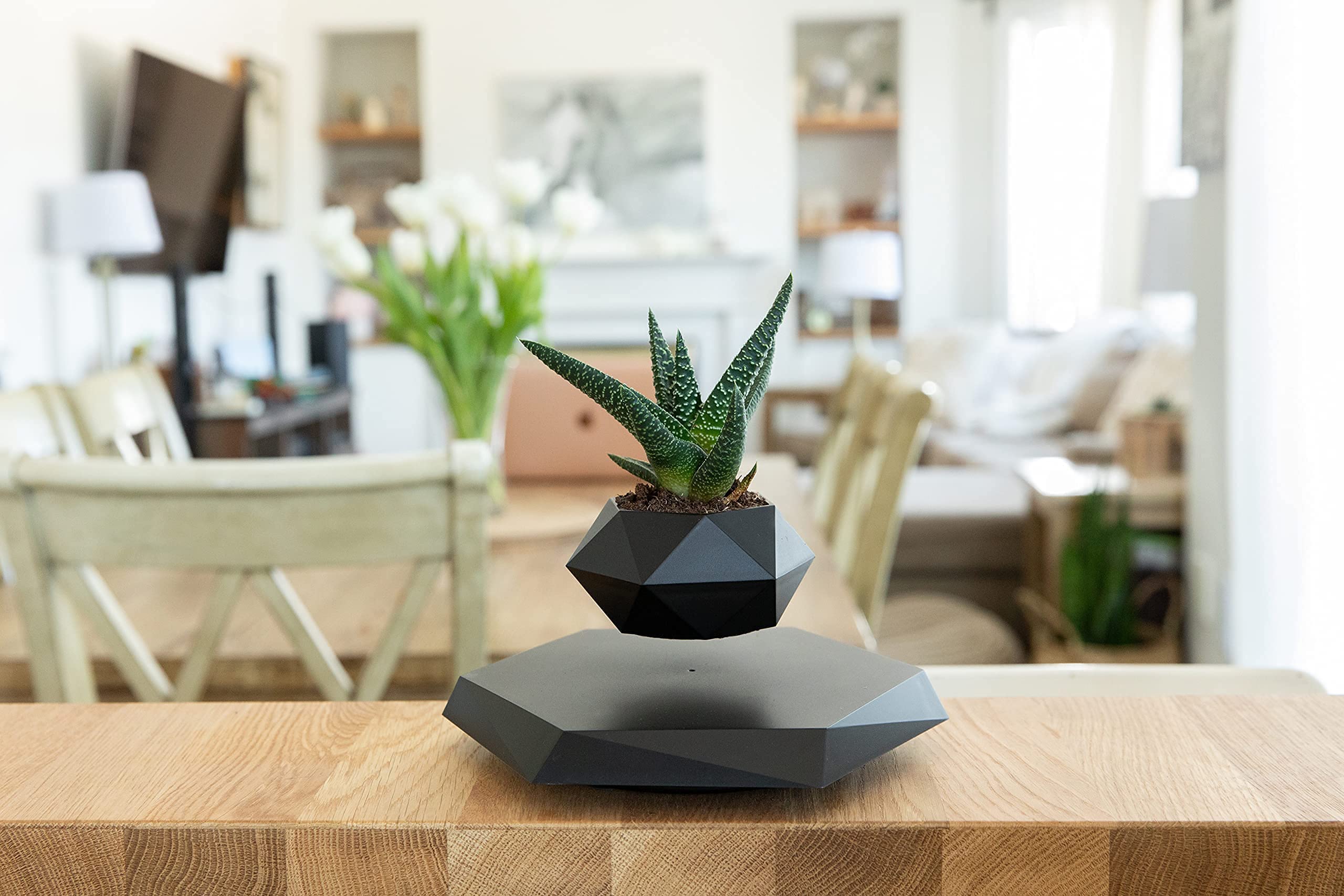 BandDlevs floating pot black finish complements contemporary interiors and office setups.